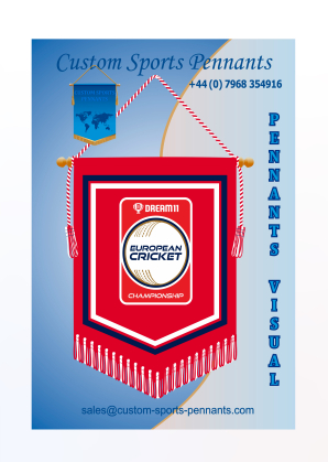 Professional pennants design templates and layout examples