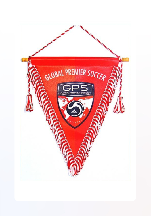 Order quality pennants in various sizes and finishes