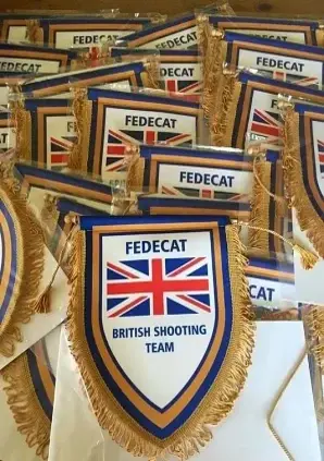 sports pennants display